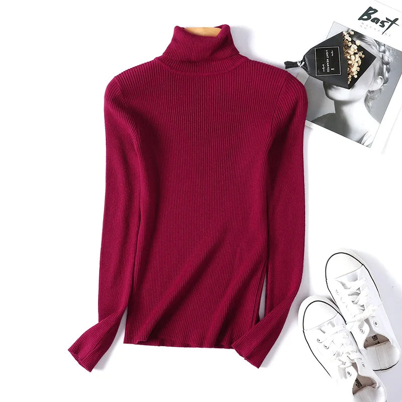Long Sleeve Knitted Turtleneck Sweater