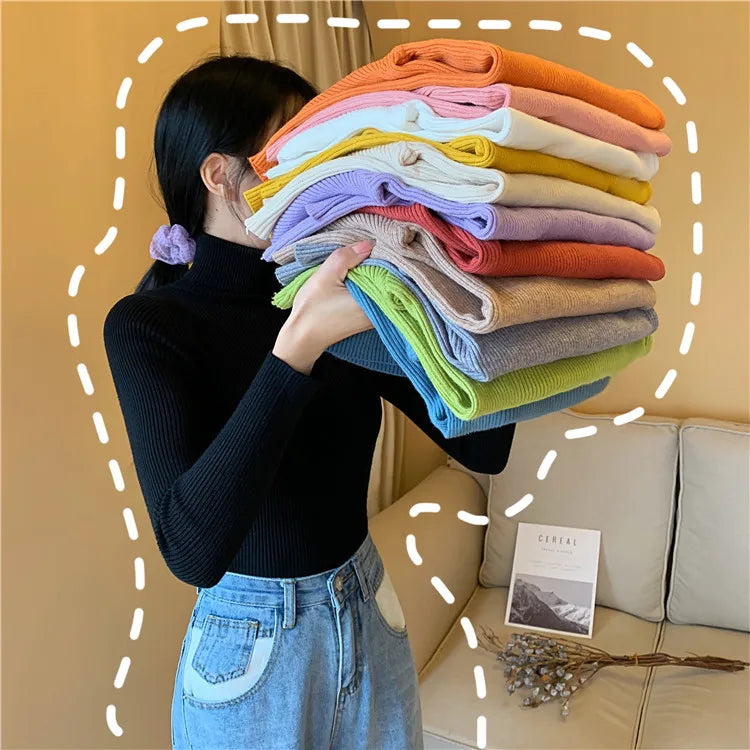 Long Sleeve Knitted Turtleneck Sweater