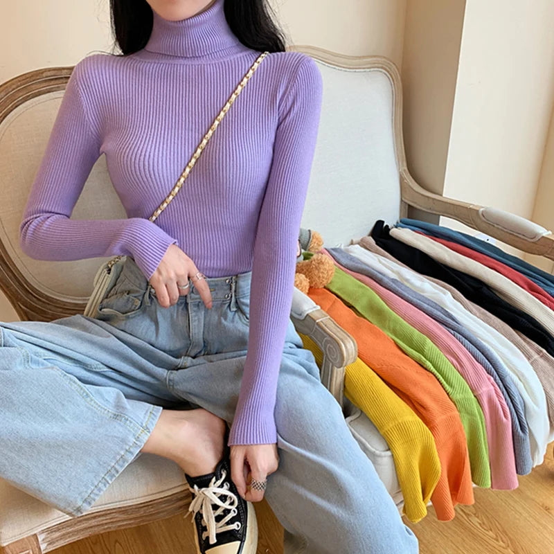 Long Sleeve Knitted Turtleneck Sweater