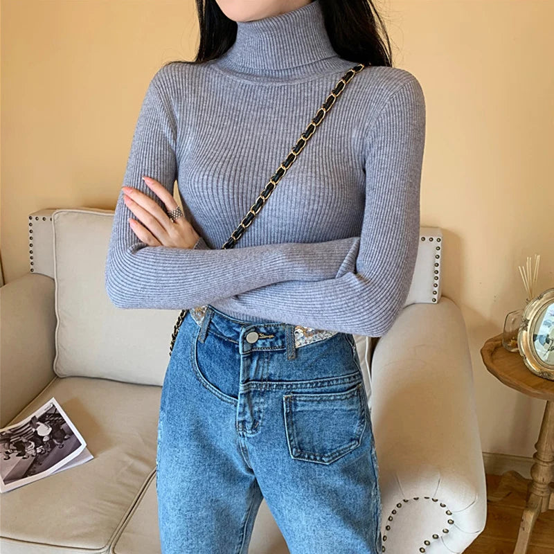 Long Sleeve Knitted Turtleneck Sweater