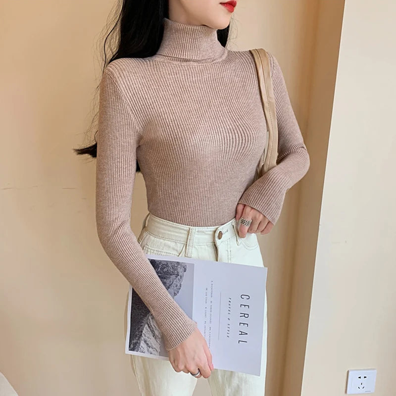 Long Sleeve Knitted Turtleneck Sweater