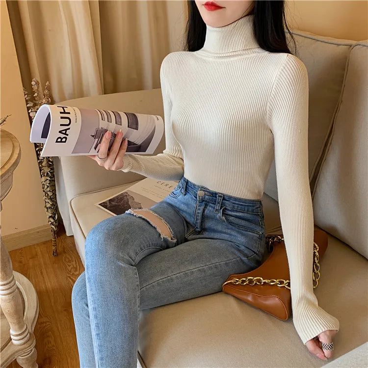 Long Sleeve Knitted Turtleneck Sweater