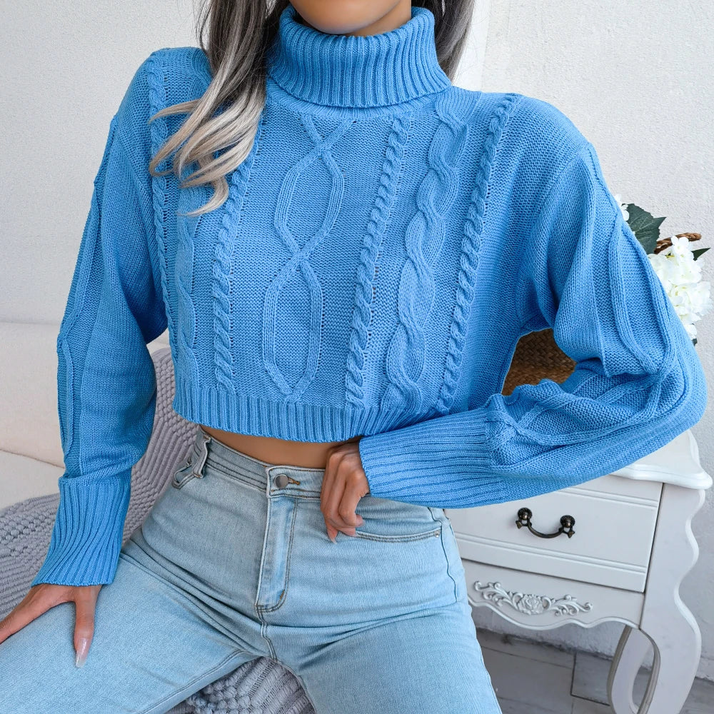 Long Sleeve Knitted Turtleneck Sweater