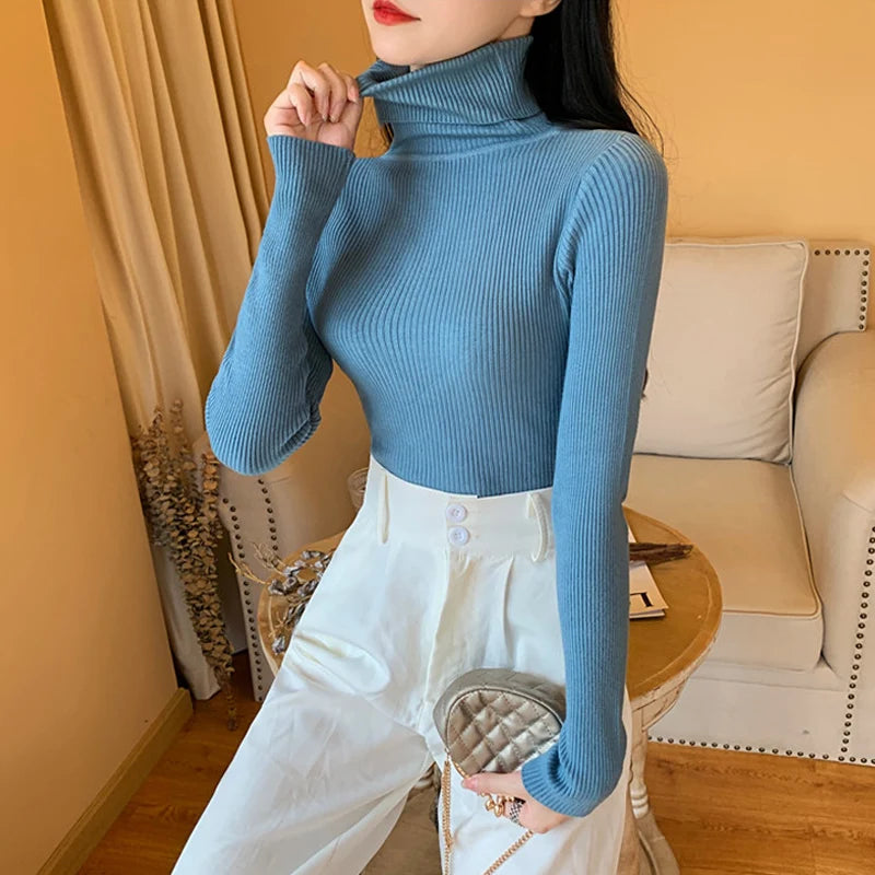 Long Sleeve Knitted Turtleneck Sweater