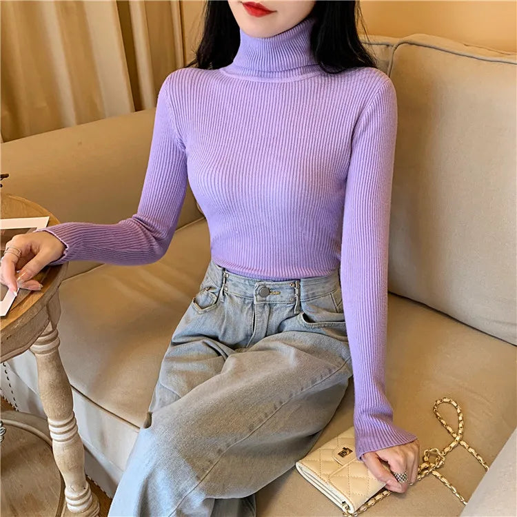 Long Sleeve Knitted Turtleneck Sweater