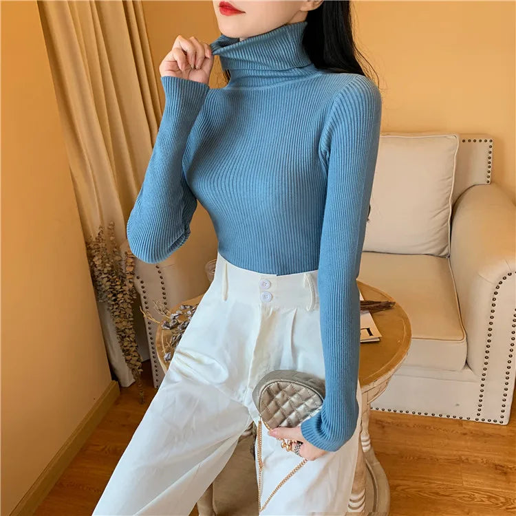 Long Sleeve Knitted Turtleneck Sweater