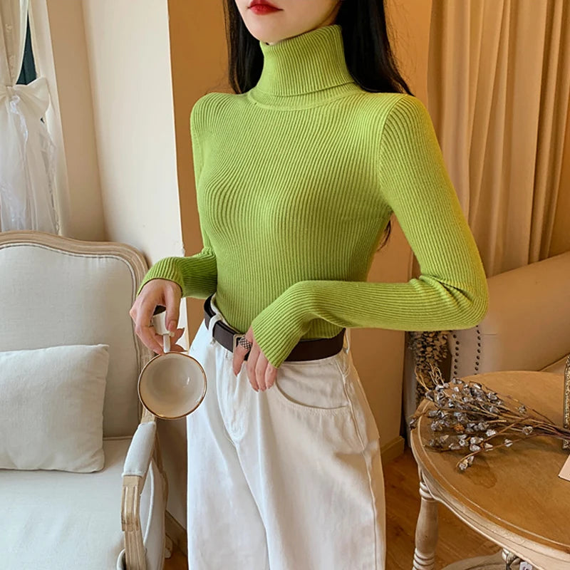 Long Sleeve Knitted Turtleneck Sweater