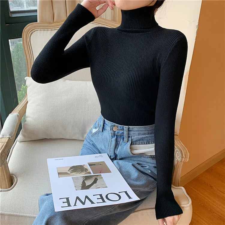 Long Sleeve Knitted Turtleneck Sweater
