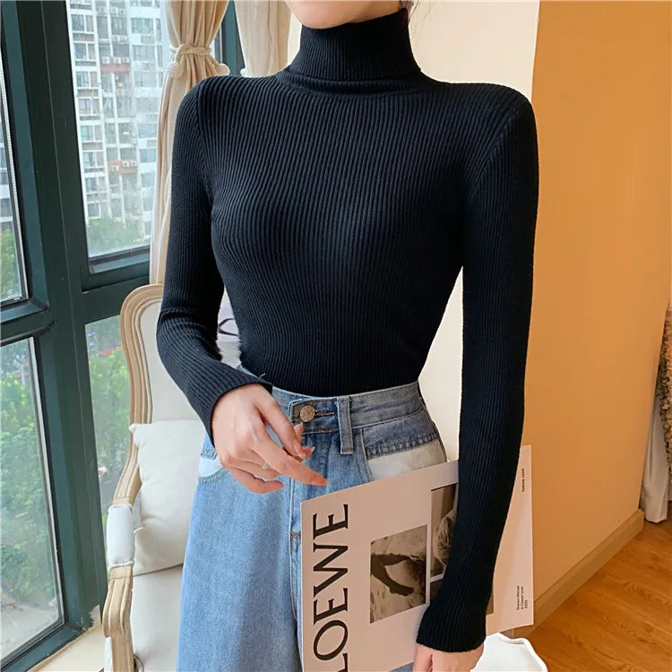 Long Sleeve Knitted Turtleneck Sweater