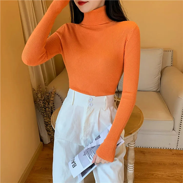 Long Sleeve Knitted Turtleneck Sweater
