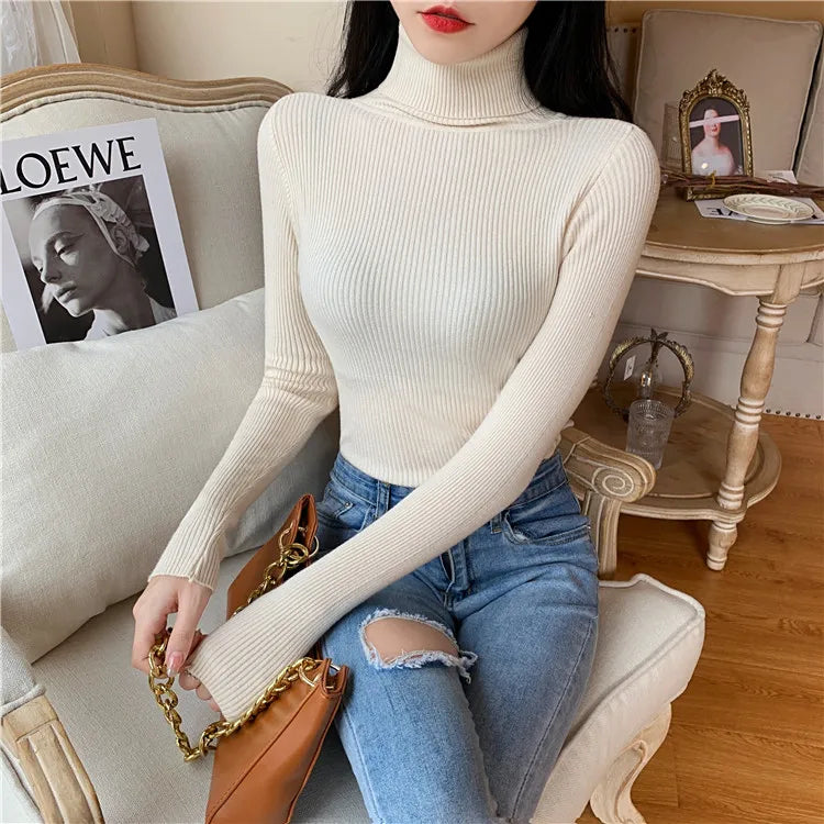 Long Sleeve Knitted Turtleneck Sweater