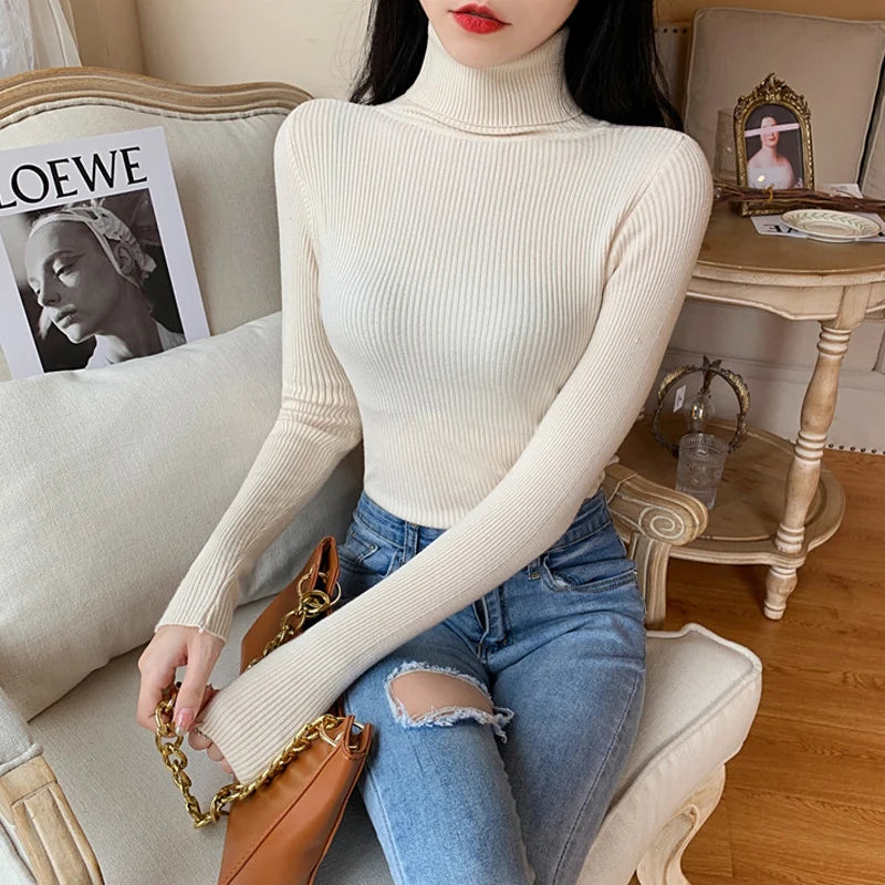Long Sleeve Knitted Turtleneck Sweater