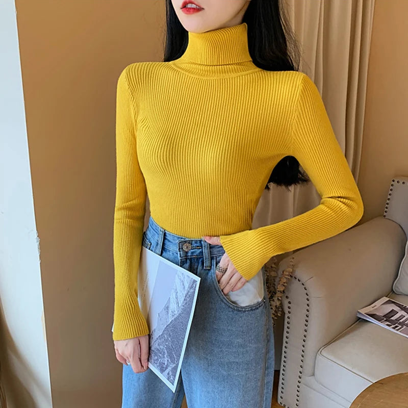 Long Sleeve Knitted Turtleneck Sweater