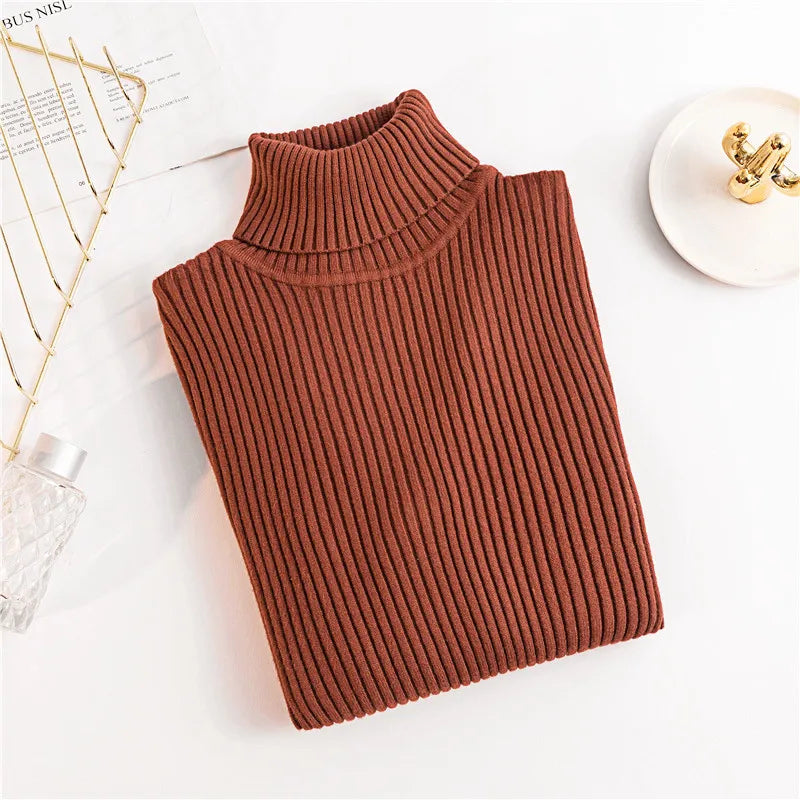 Long Sleeve Knitted Turtleneck Sweater