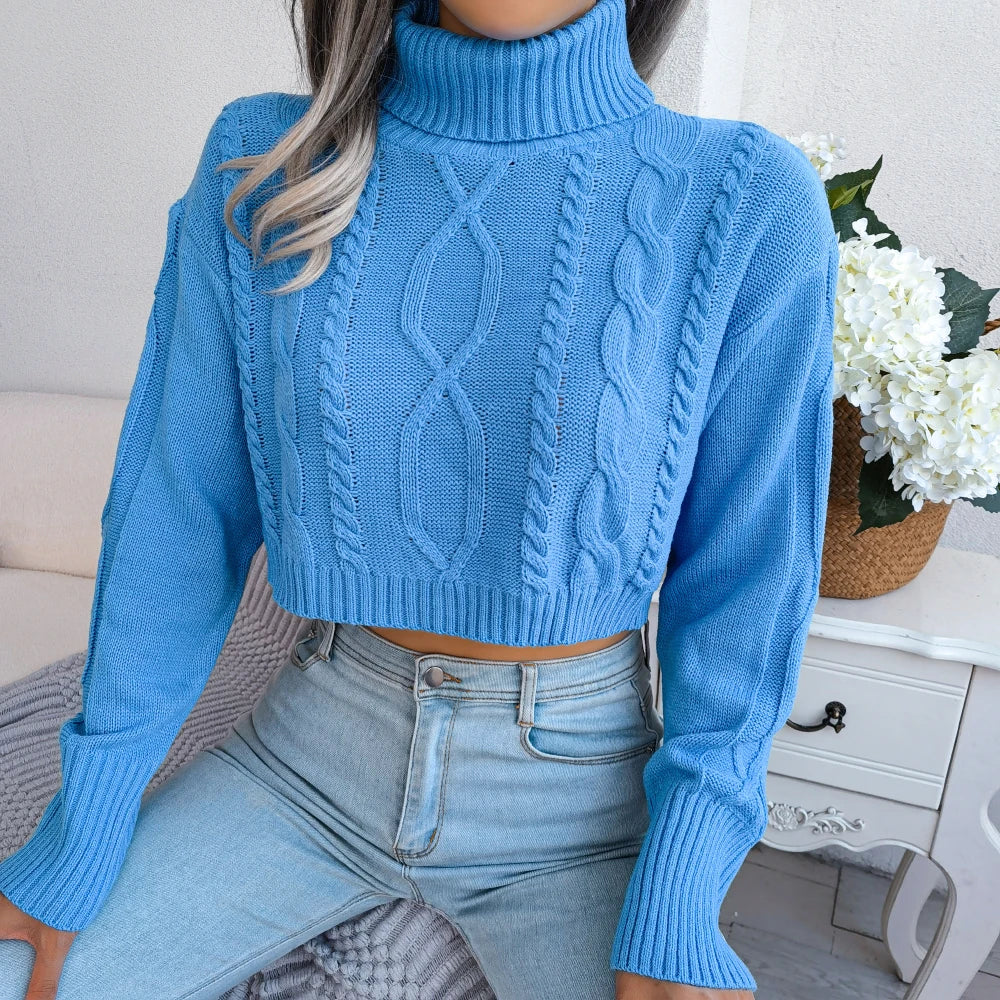 Long Sleeve Knitted Turtleneck Sweater