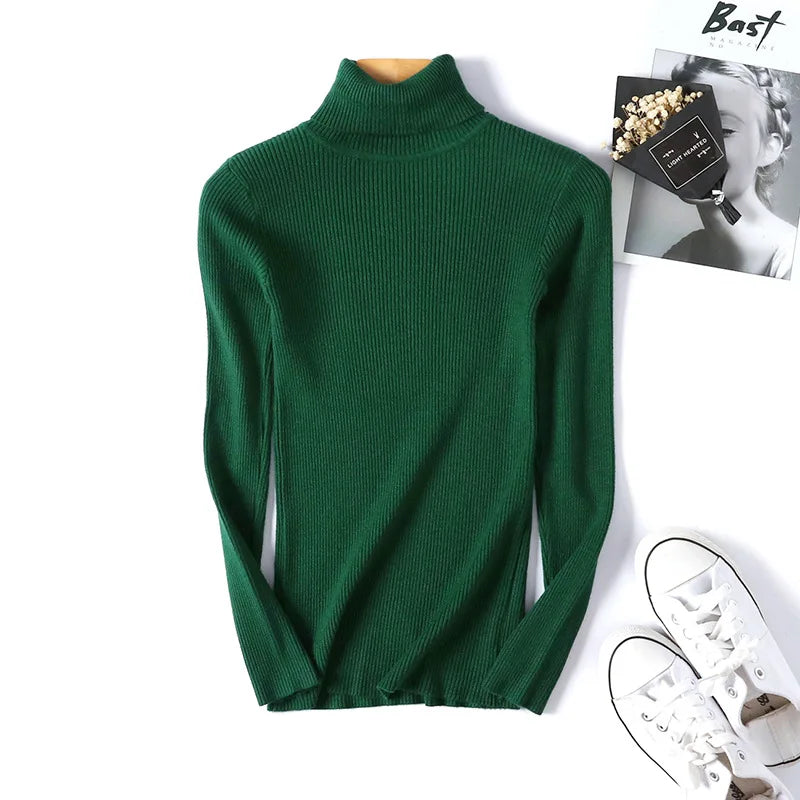 Long Sleeve Knitted Turtleneck Sweater