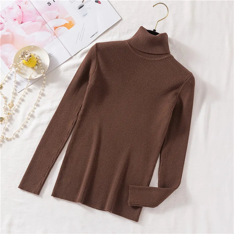 Long Sleeve Knitted Turtleneck Sweater