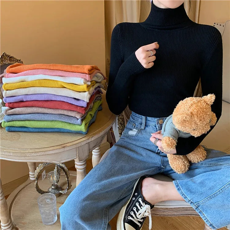Long Sleeve Knitted Turtleneck Sweater