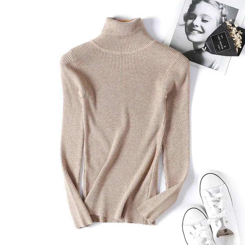 Long Sleeve Knitted Turtleneck Sweater
