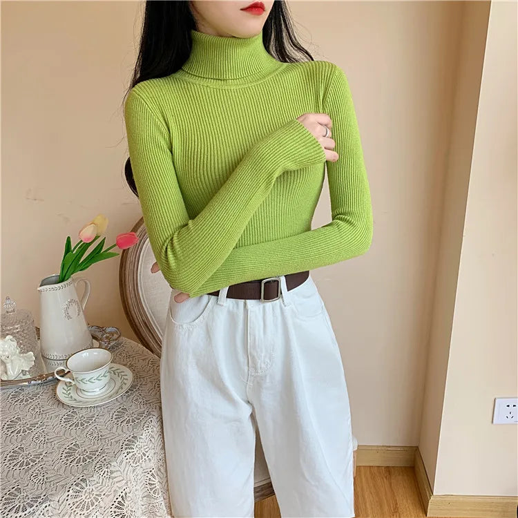 Long Sleeve Knitted Turtleneck Sweater