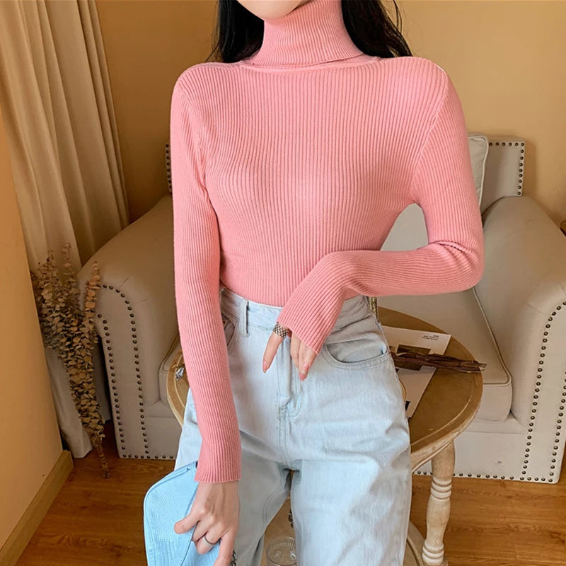 Long Sleeve Knitted Turtleneck Sweater
