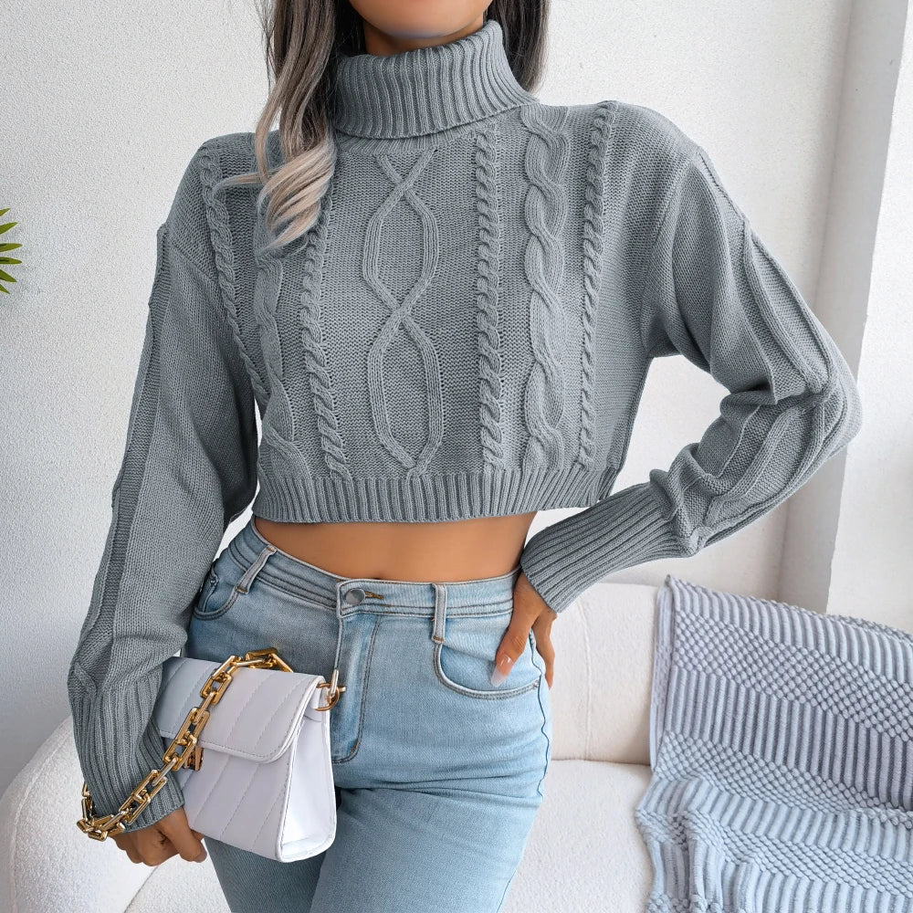 Long Sleeve Knitted Turtleneck Sweater
