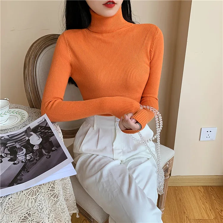 Long Sleeve Knitted Turtleneck Sweater