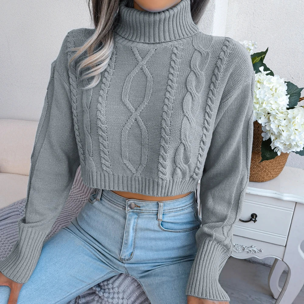 Long Sleeve Knitted Turtleneck Sweater