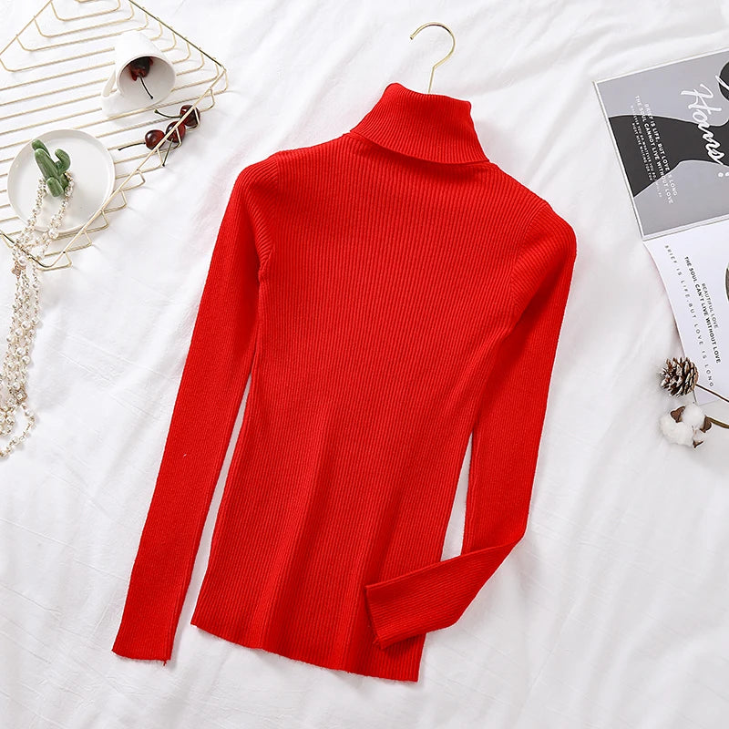 Long Sleeve Knitted Turtleneck Sweater
