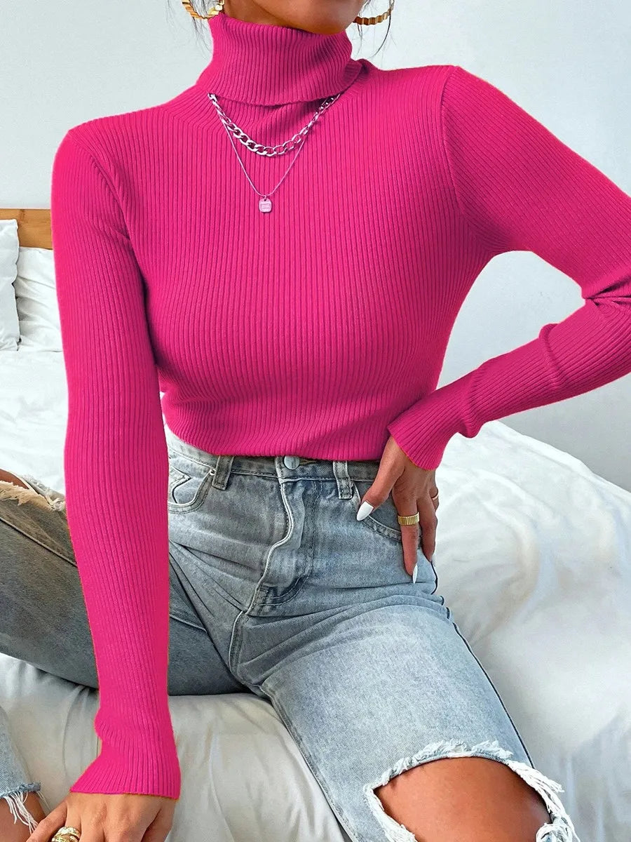 Long Sleeve Knitted Turtleneck Sweater