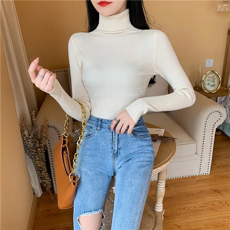 Long Sleeve Knitted Turtleneck Sweater
