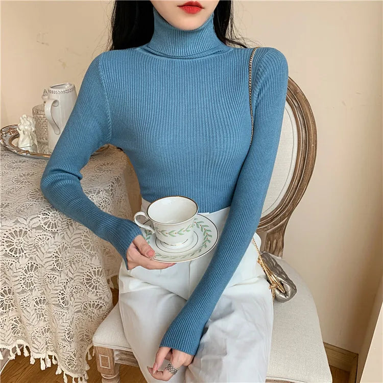 Long Sleeve Knitted Turtleneck Sweater