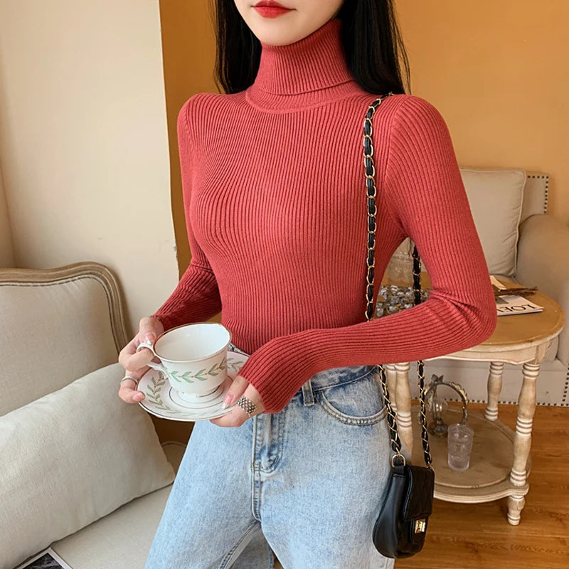 Long Sleeve Knitted Turtleneck Sweater