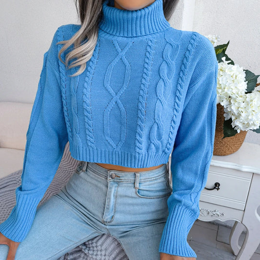 Long Sleeve Knitted Turtleneck Sweater