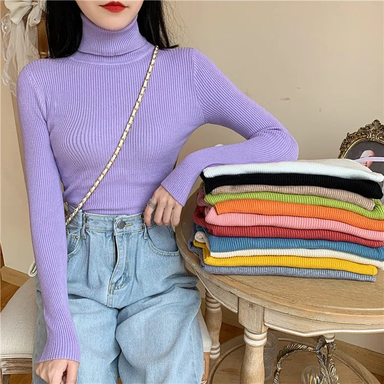 Long Sleeve Knitted Turtleneck Sweater